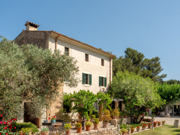 Property in Pollensa Palma