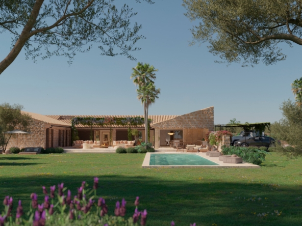 Mallorca Vineyard Plot