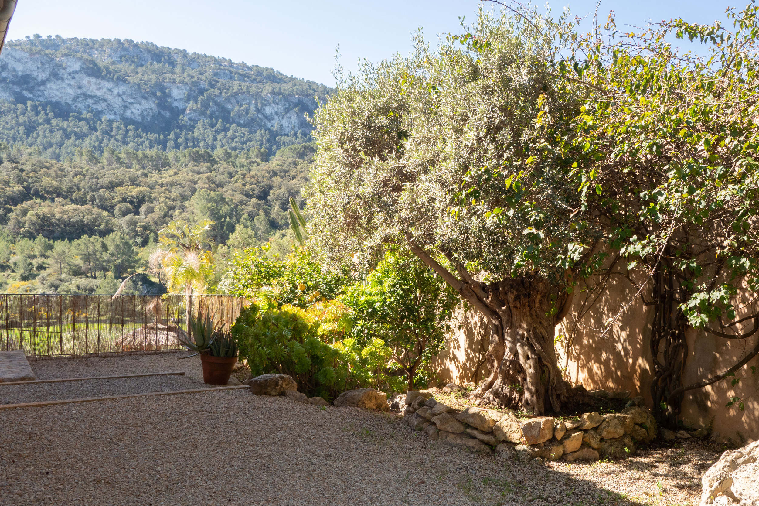 Detached house with pool and garden in Puigpunyent