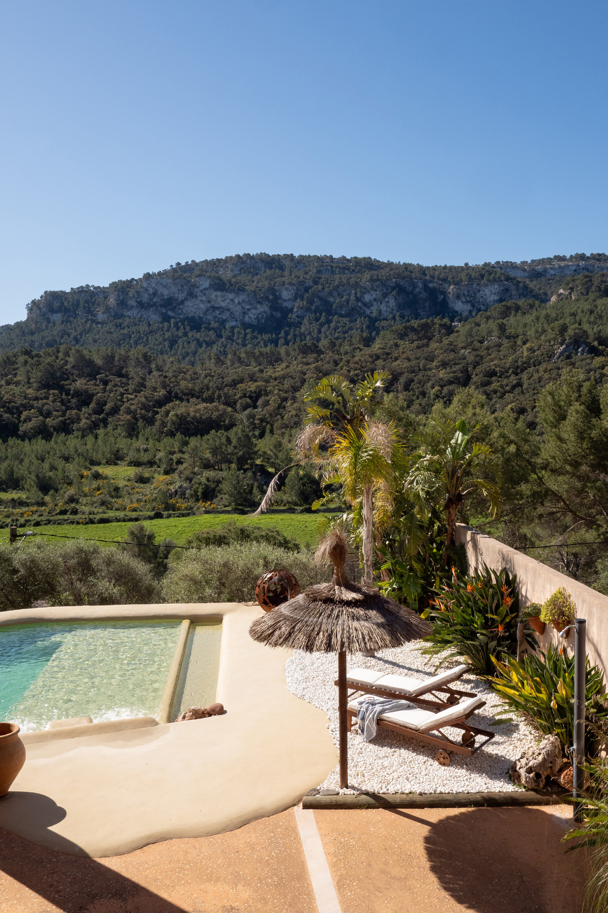Detached house with pool and garden in Puigpunyent