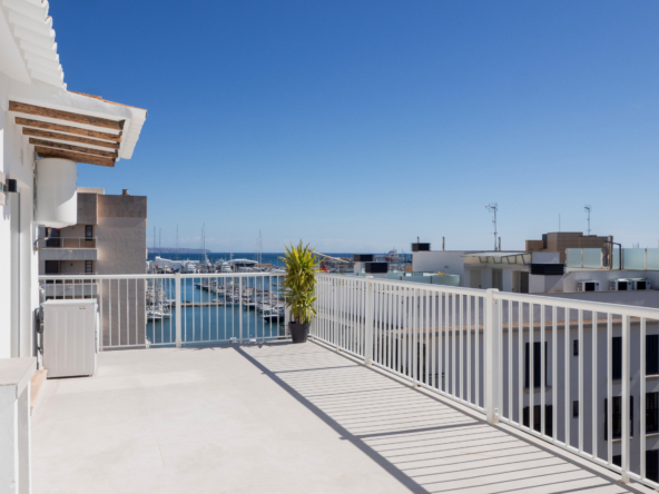 Renovated penthouse with large terrace and sea views in Santa Catalina