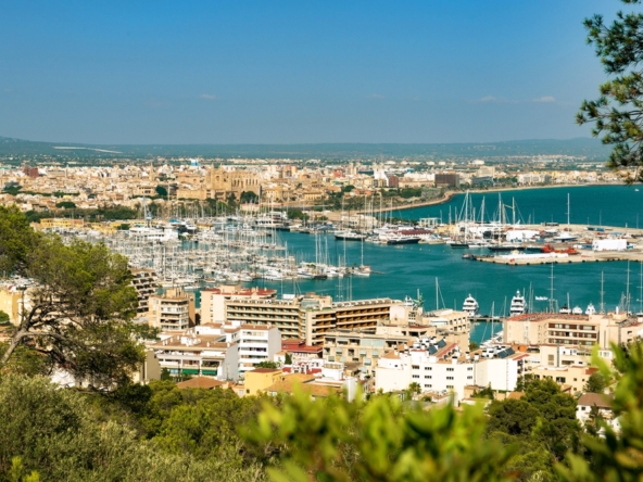 Summer in Palma - Palma Markets