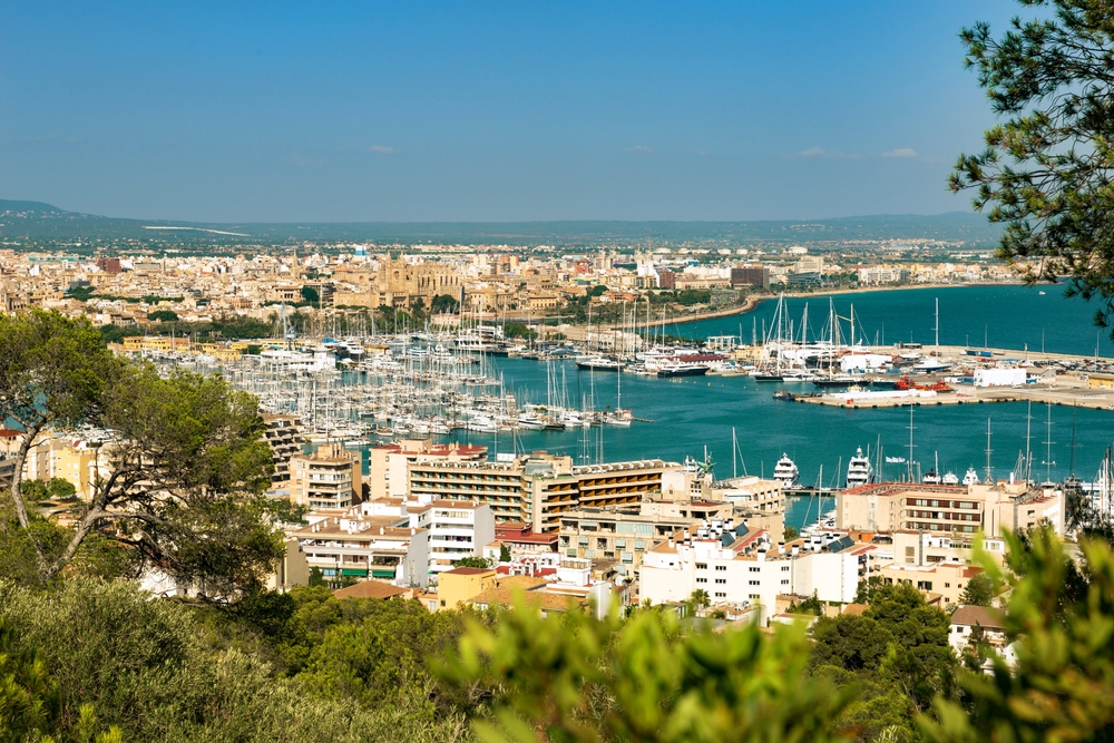 Summer in Palma - Palma Markets
